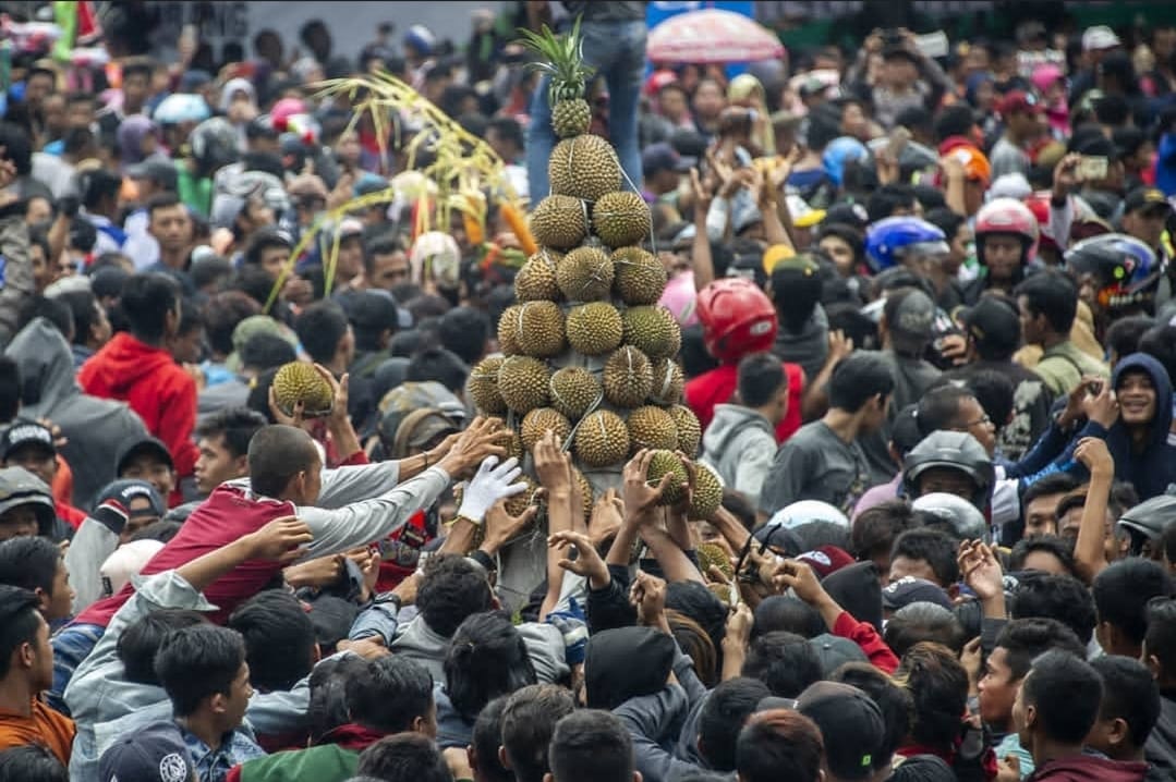 keseruan pesta durian