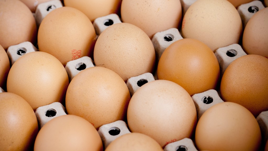 Usaha Agen Telur AyamUsaha Agen Telur Ayam