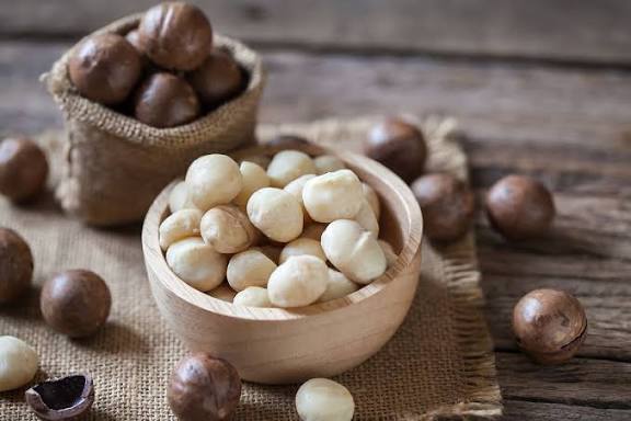 Kacang Macadamia
