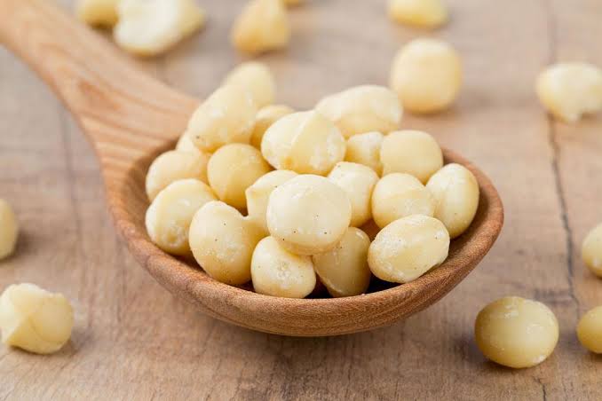 Kacang Macadamia